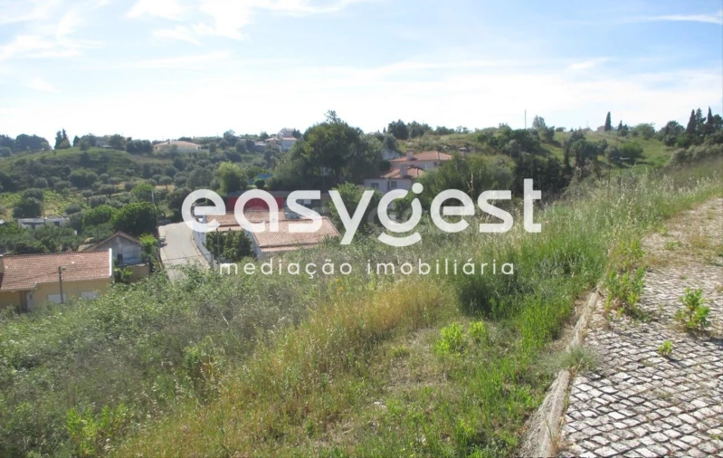 Terreno para Venda em São João Baptista e Santa Maria dos Olivais Foto 7