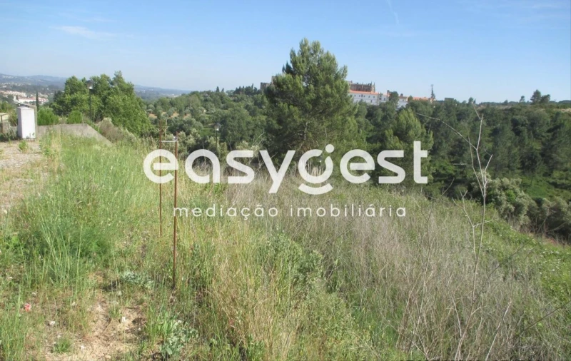 Terreno para Venda em São João Baptista e Santa Maria dos Olivais Foto 9
