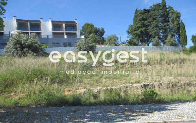 Terreno para Venda em São João Baptista e Santa Maria dos Olivais Foto 12