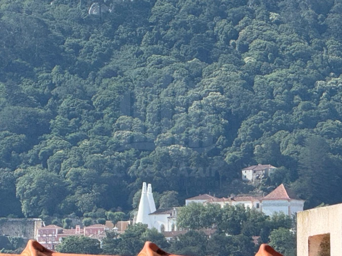 Moradia T3 para Venda em Santa Maria e São Miguel, São Martinho, São Pedro Penaferrim Foto 14