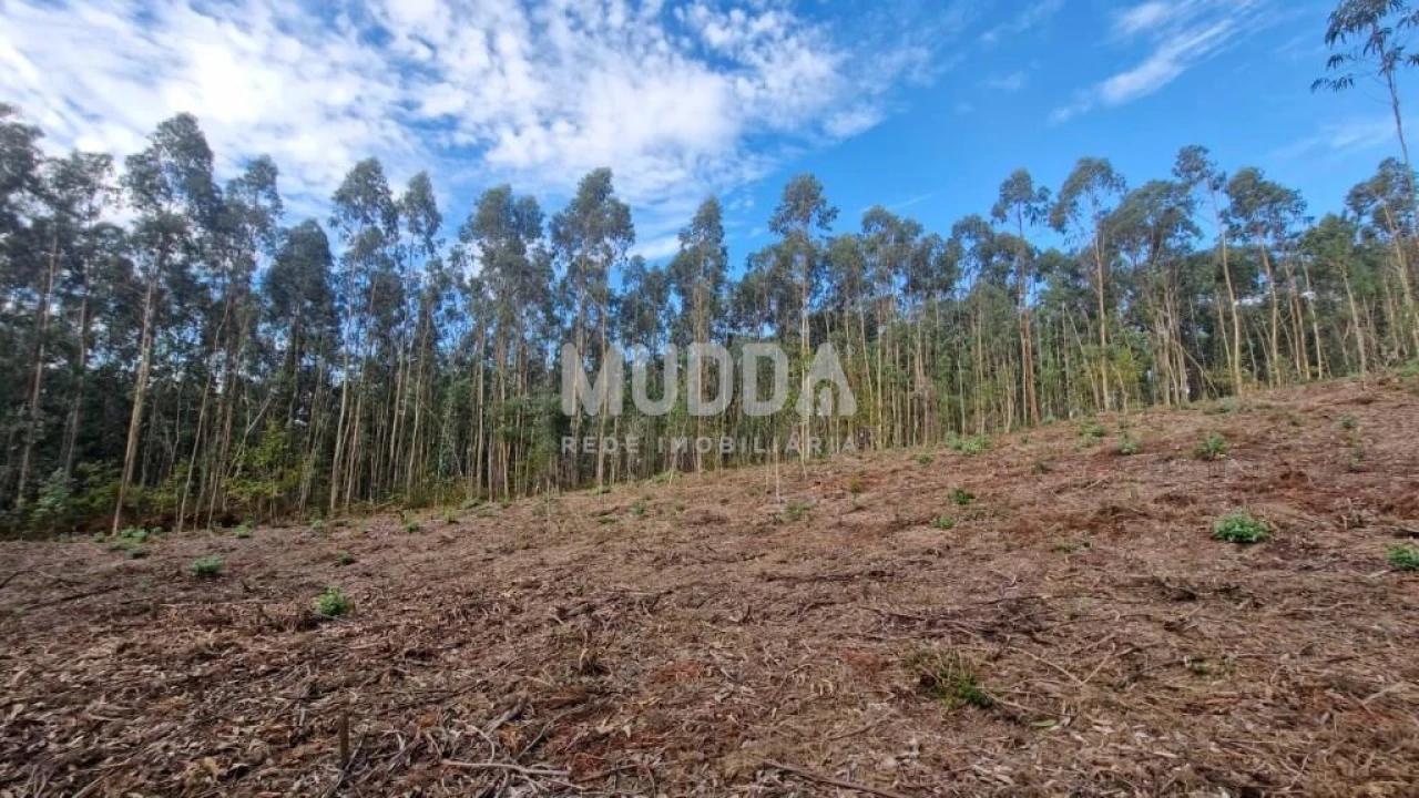 Terreno para Venda em Romariz Foto 2