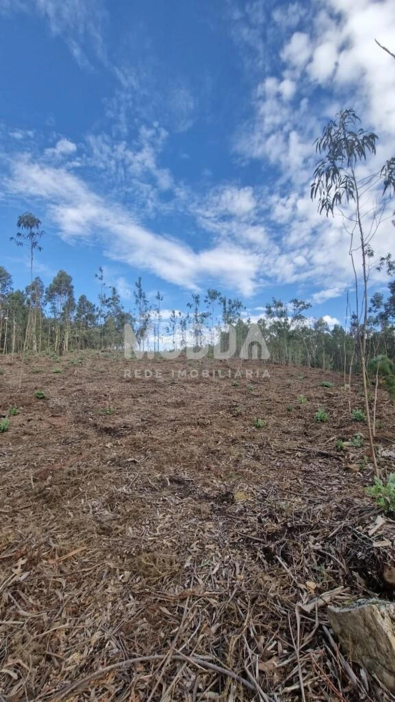 Terreno para Venda em Romariz Foto 10