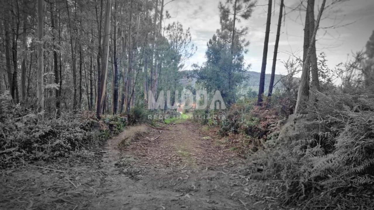 Terreno para Venda em Romariz Foto 8