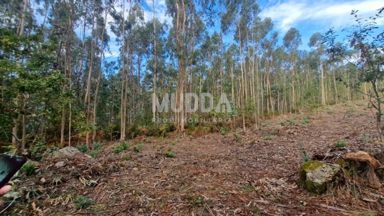Terreno para Venda em Romariz Foto 6