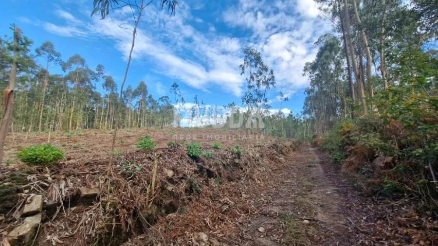 Terreno para Venda em Romariz
