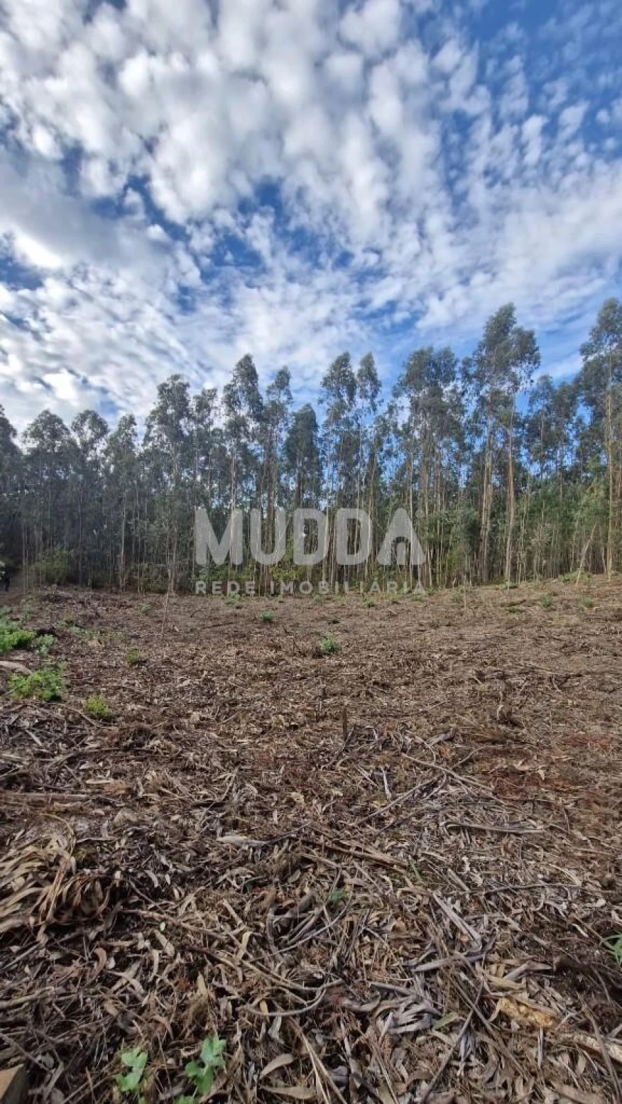 Terreno para Venda em Romariz Foto 9