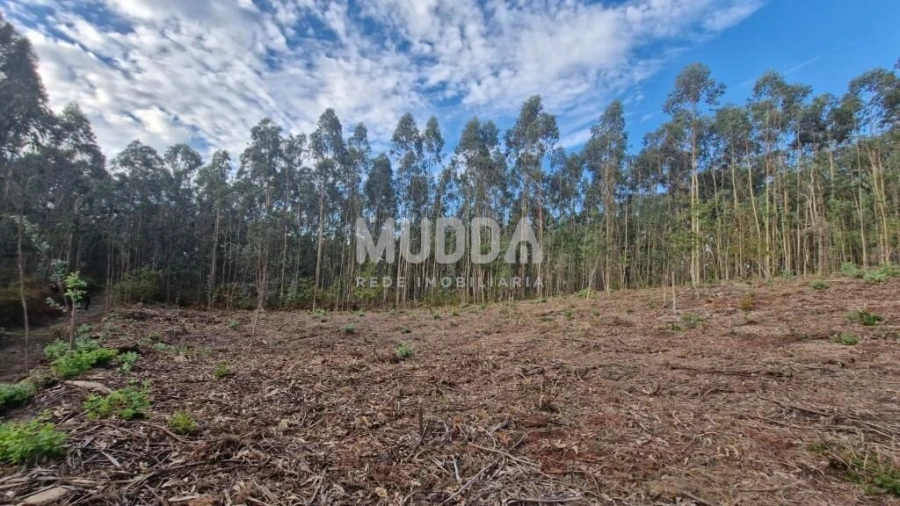 Terreno para Venda em Romariz Foto 3