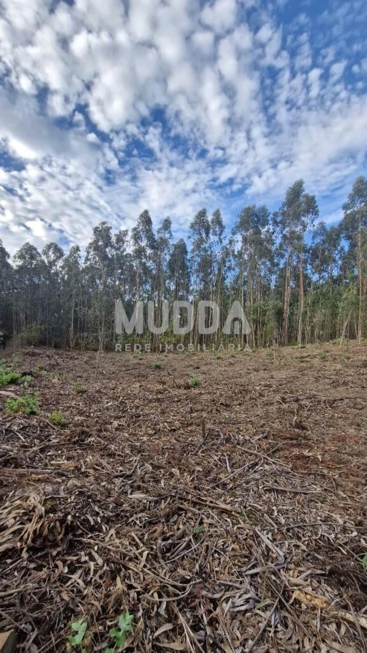 Terreno para Venda em Romariz Foto 9