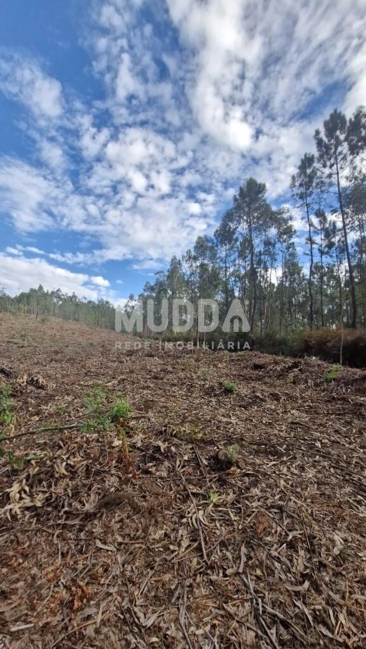 Terreno para Venda em Romariz Foto 12