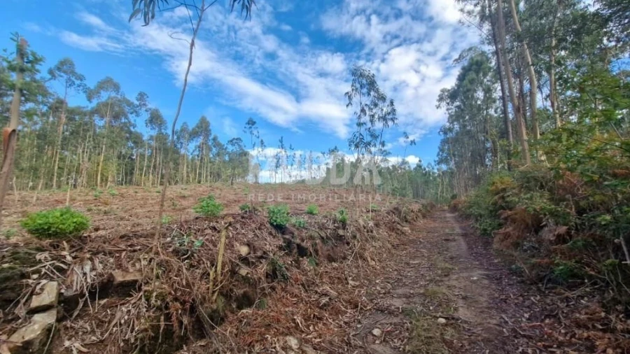 Terreno para Venda em Romariz