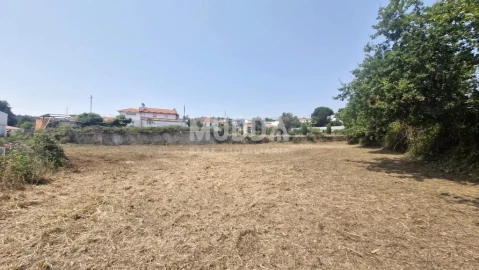 Moradia T2 para Venda em Romariz