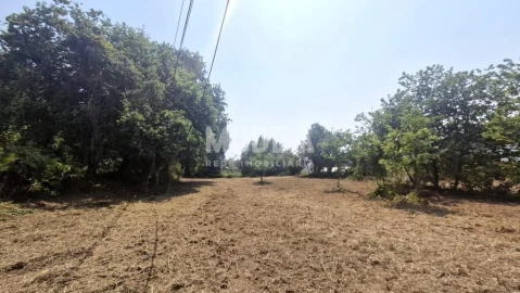 Moradia T2 para Venda em Romariz