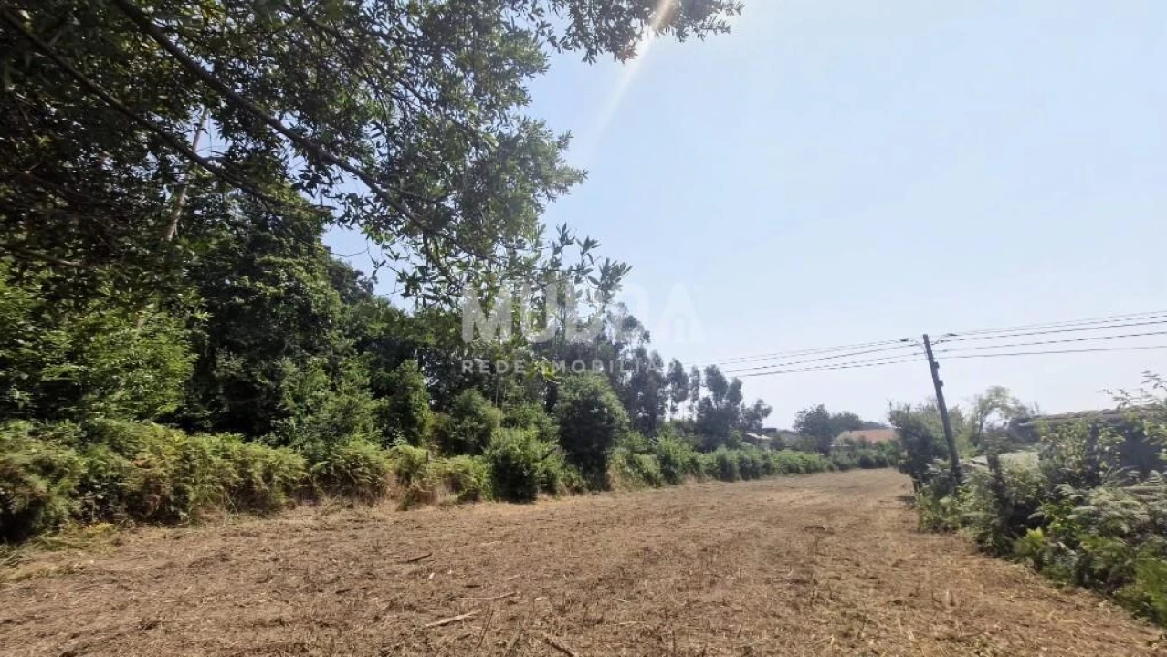 Moradia T2 para Venda em Romariz Foto 11