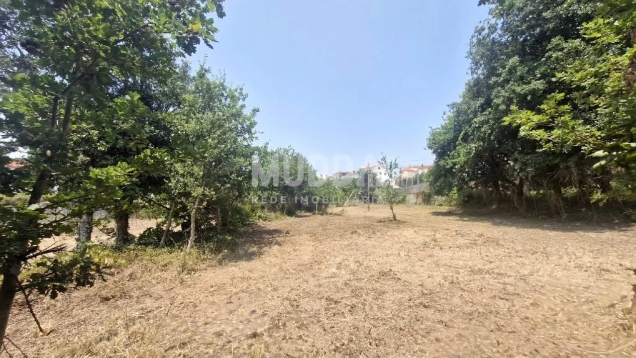 Moradia T2 para Venda em Romariz Foto 15