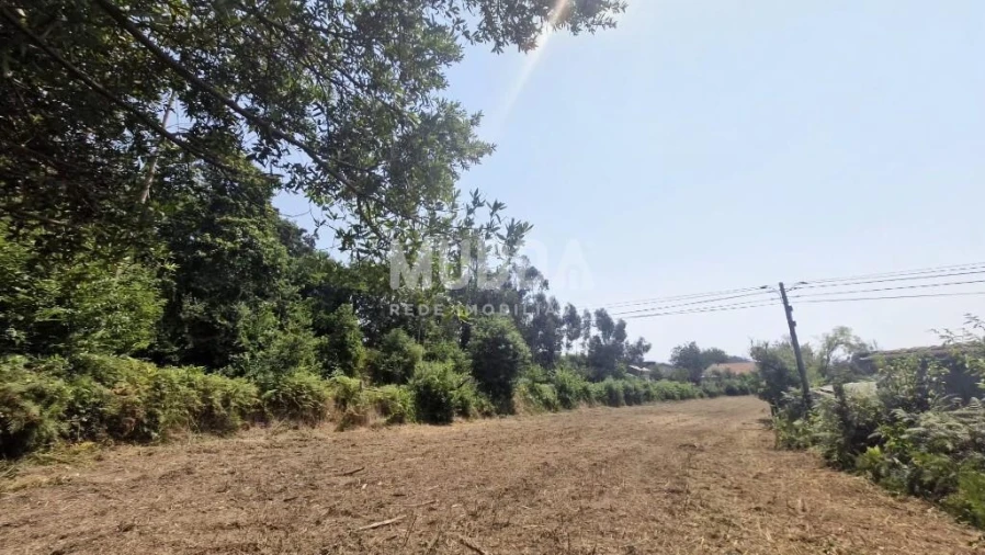 Moradia T2 para Venda em Romariz Foto 11