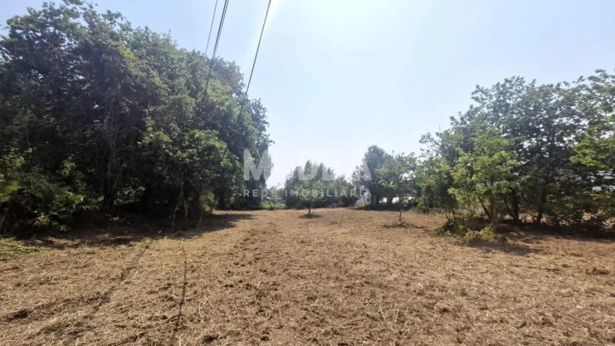 Moradia T2 para Venda em Romariz Foto 18