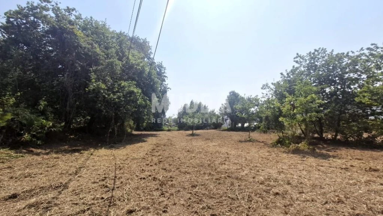 Moradia T2 para Venda em Romariz Foto 18