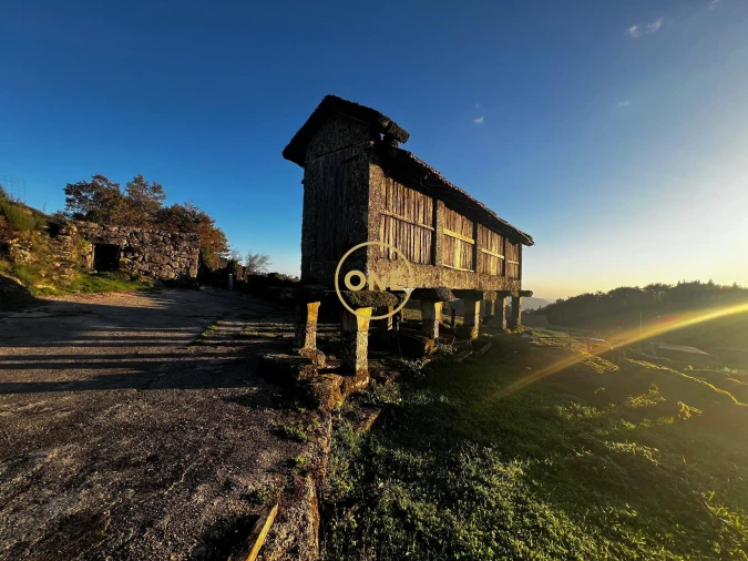 Terreno para Venda em Chorense e Monte Foto 3