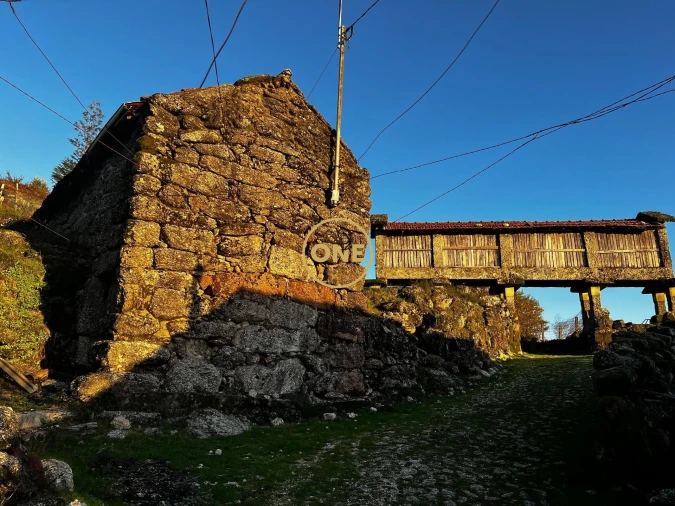 Terreno para Venda em Chorense e Monte Foto 6