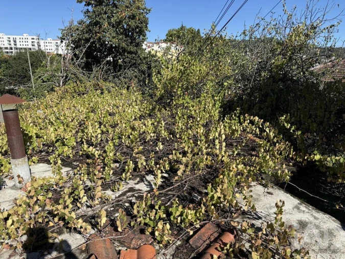 Moradia T4 para Venda em São Pedro do Sul, Várzea e Baiões Foto 13