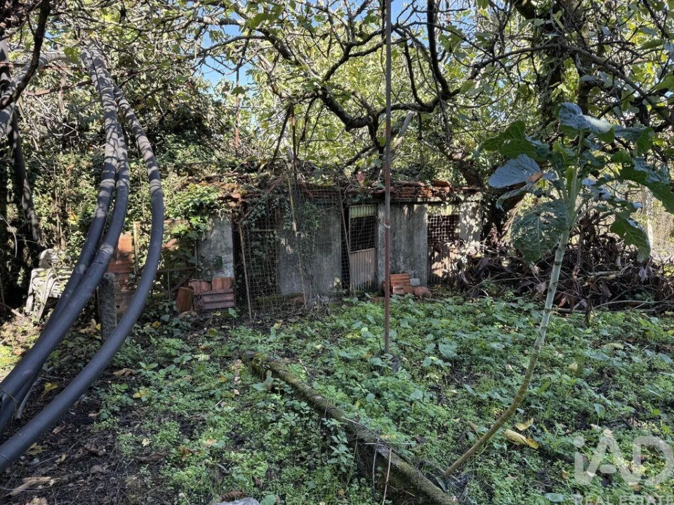 Moradia T4 para Venda em São Pedro do Sul, Várzea e Baiões Foto 24