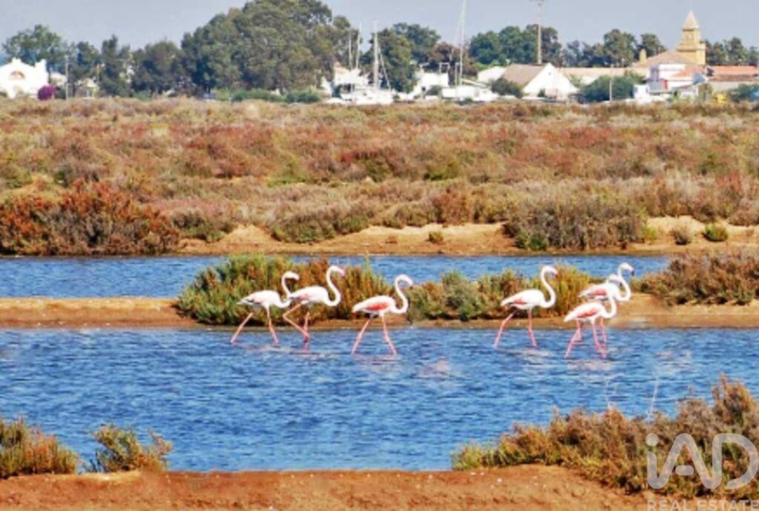 Apartamento T2 para Venda em Moncarapacho e Fuseta Foto 21