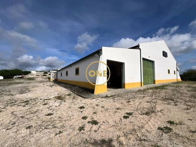 Moradia T4 para Venda em Branca Foto 49