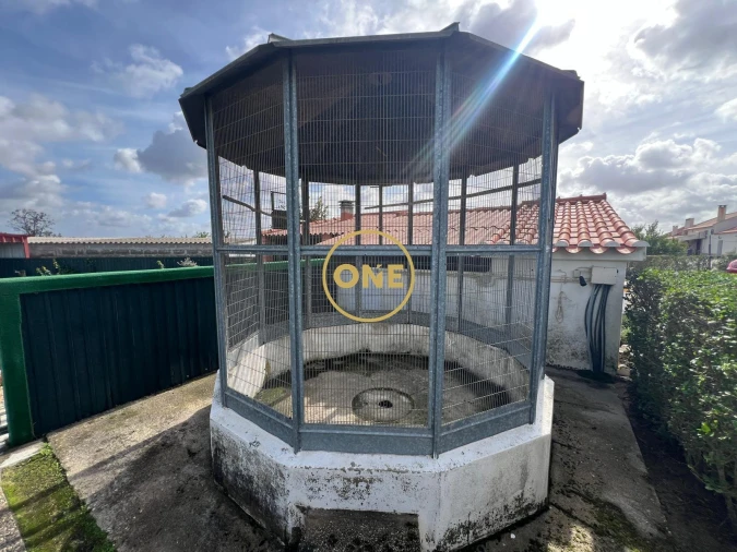 Moradia T4 para Venda em Branca Foto 44