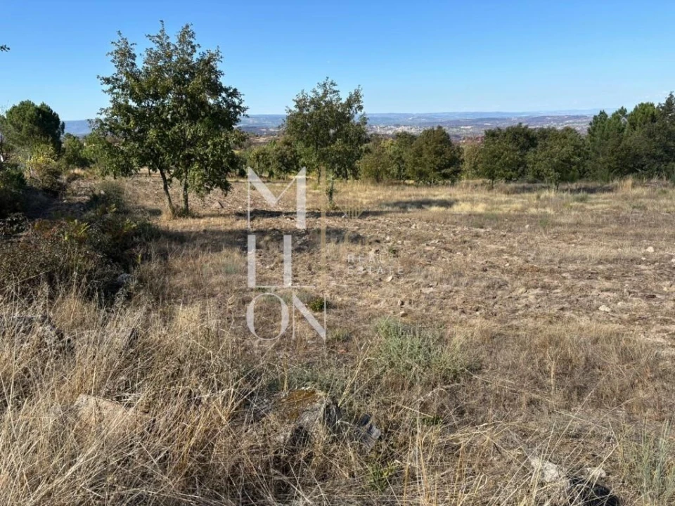 Terreno para Venda em Codesseiro Foto 1