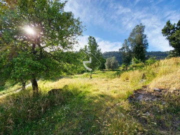 Quinta T5 para Venda em Alvora e Loureda