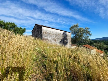 Quinta T5 para Venda em Alvora e Loureda