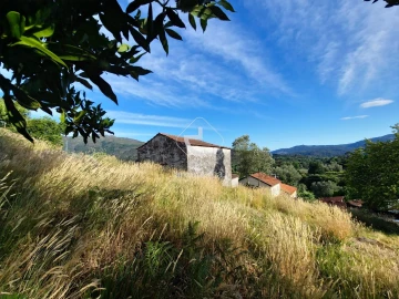 Quinta T5 para Venda em Alvora e Loureda