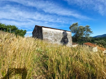 Quinta T5 para Venda em Alvora e Loureda