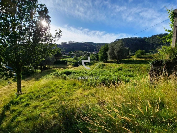 Quinta T5 para Venda em Alvora e Loureda Foto 40