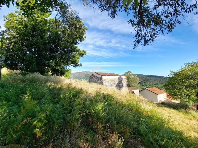 Quinta T5 para Venda em Alvora e Loureda Foto 39
