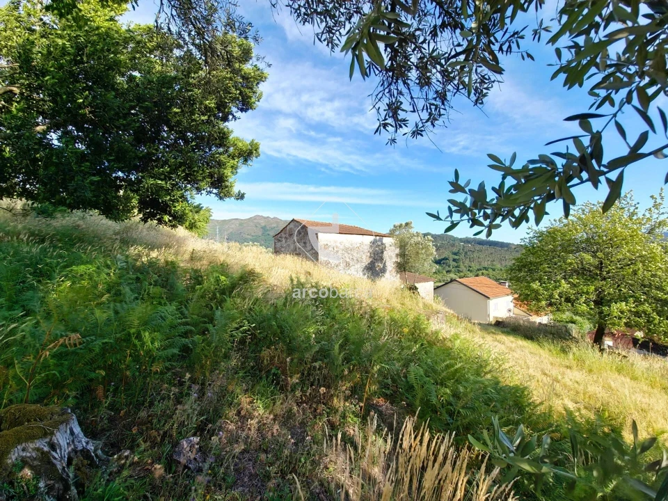 Quinta T5 para Venda em Alvora e Loureda Foto 21
