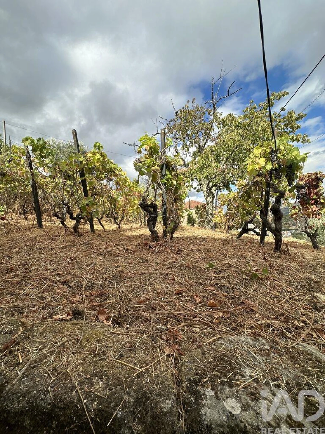 Moradia T3 para Venda em Cambres Foto 6