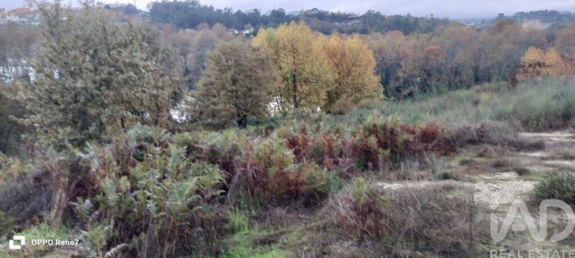Terreno para Venda em Constance Foto 22