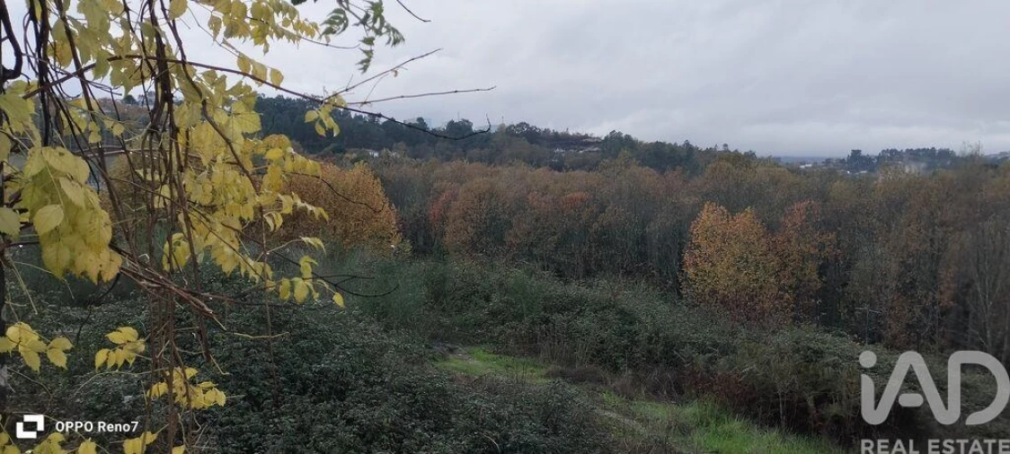 Terreno para Venda em Constance Foto 23