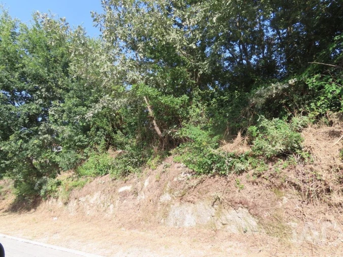 Terreno para Venda em Constance Foto 11