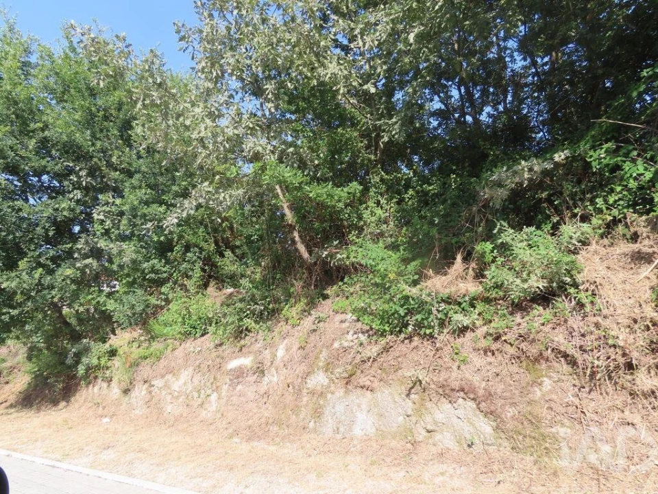 Terreno para Venda em Constance Foto 12