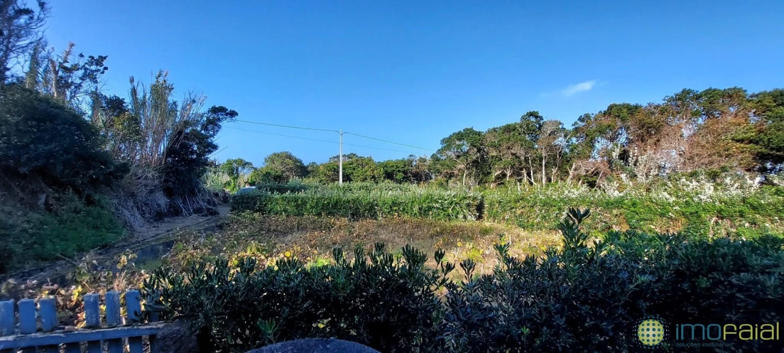 Quinta T1 para Venda em Capelo Foto 8