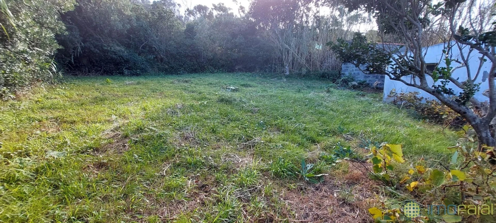 Quinta T1 para Venda em Capelo Foto 7