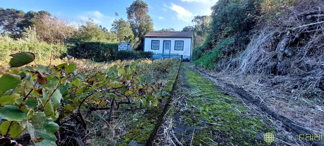 Quinta T1 para Venda em Capelo