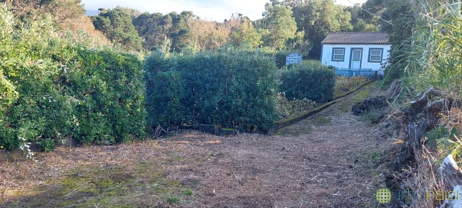 Quinta T1 para Venda em Capelo Foto 2