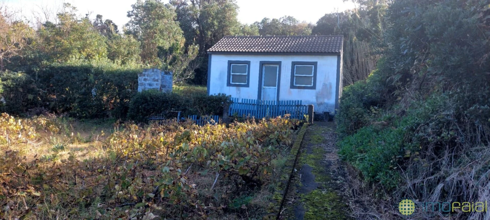 Quinta T1 para Venda em Capelo Foto 16