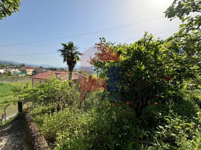 Moradia T3 para Venda em Vila Verde e Barbudo Foto 64