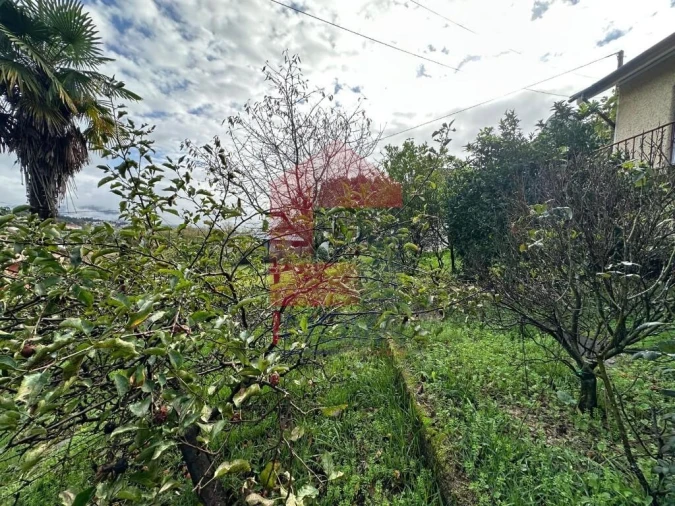 Moradia T3 para Venda em Vila Verde e Barbudo Foto 29