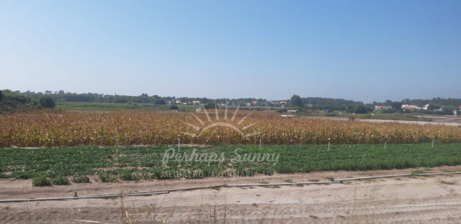 Moradia T4 para Venda em Carvalhal Foto 9