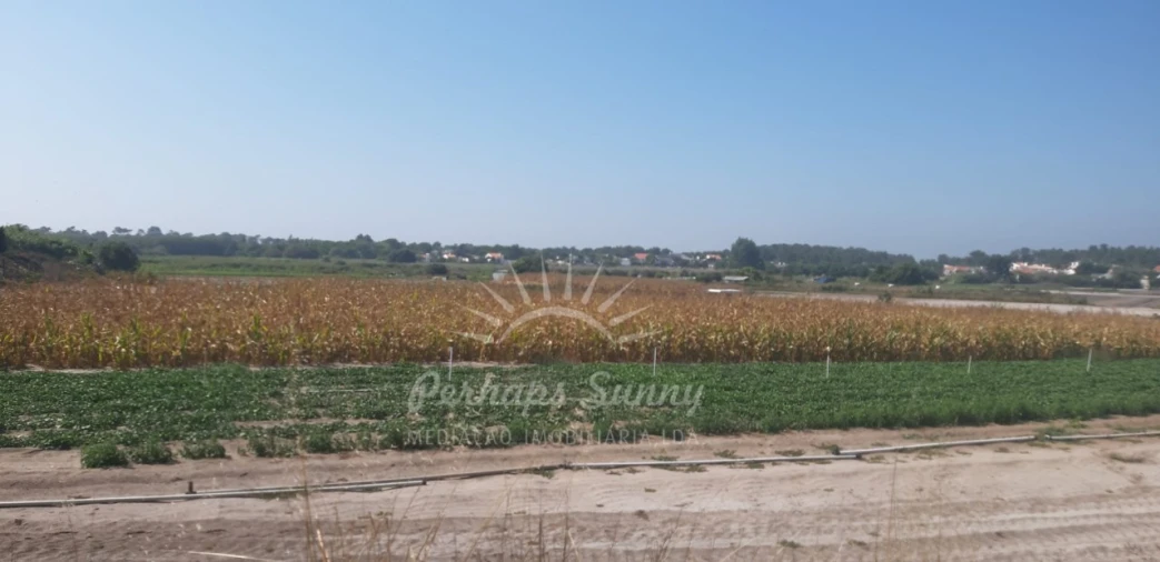 Moradia T4 para Venda em Carvalhal Foto 9